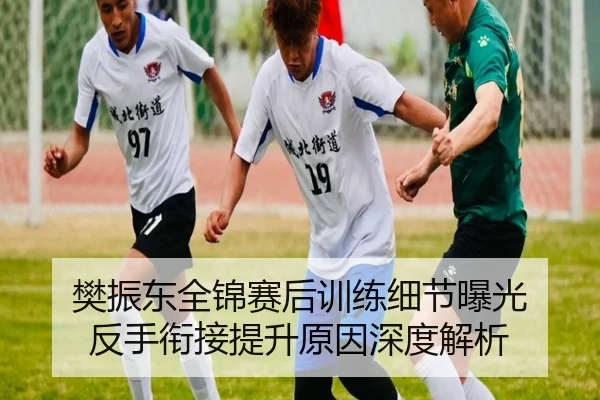 樊振东全锦赛后训练细节曝光 反手衔接提升原因深度解析